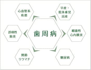 歯周病原菌のメカニズム